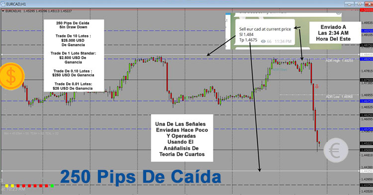 Transacción asociada a las opciones binarias o forex